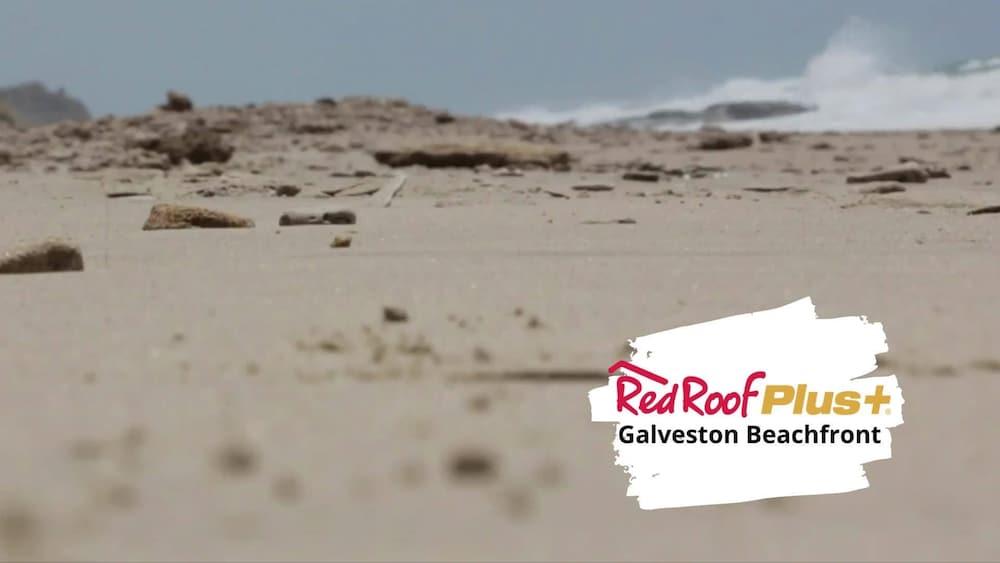 Red Roof Inn Plus + Galveston - Beachfront Exterior photo